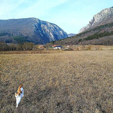 Family Apartman Szadelo - Zadiel Номер фото
