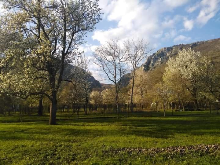 Family Apartman Szadelo - Zadiel Екстер'єр фото